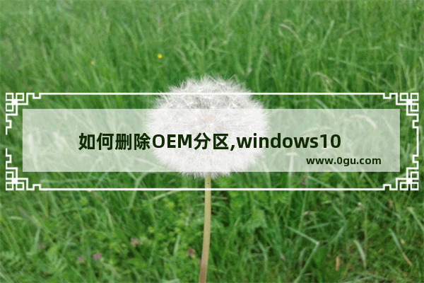 如何删除OEM分区,windows10 oem分区