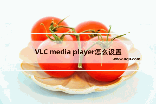 VLC media player怎么设置启用字幕