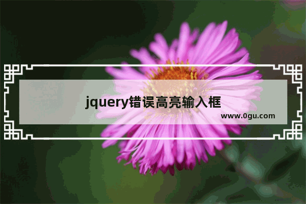 jquery错误高亮输入框