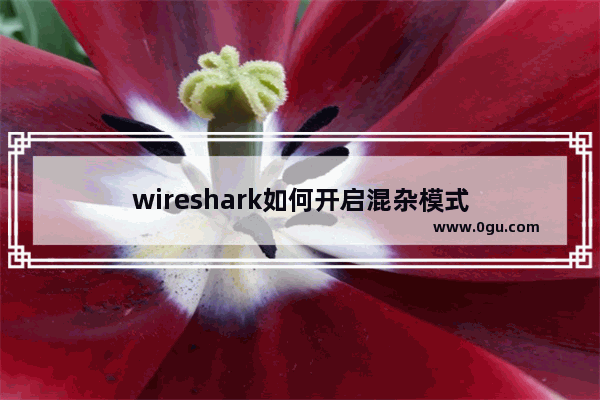 wireshark如何开启混杂模式