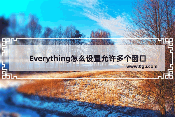 Everything怎么设置允许多个窗口运行