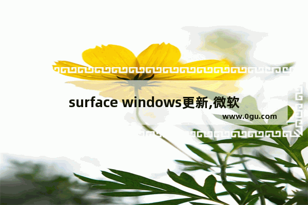 surface windows更新,微软surface更新