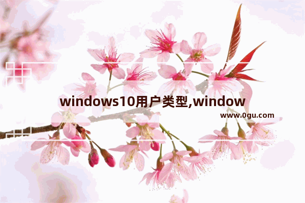 windows10用户类型,windows中的用户有哪两种类型,各自有什么特点