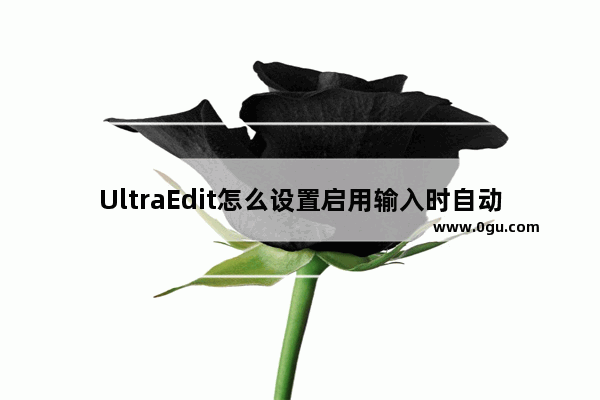 UltraEdit怎么设置启用输入时自动拼写