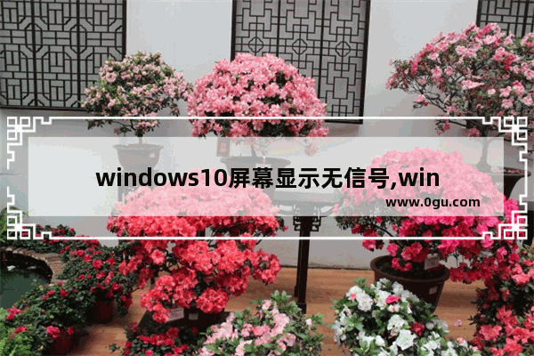 windows10屏幕显示无信号,win10 无信号输入