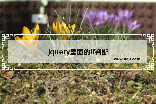 jquery里面的if判断