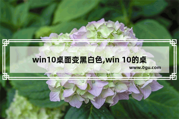 win10桌面变黑白色,win 10的桌面变成黑色了怎么办