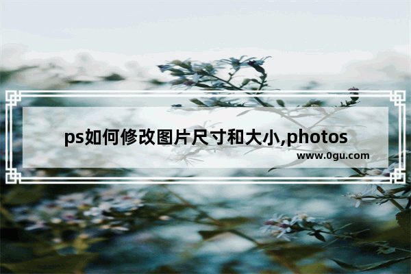 ps如何修改图片尺寸和大小,photoshop 修改图片大小