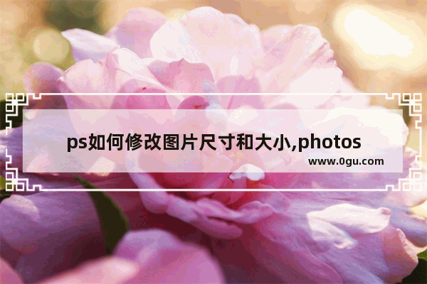 ps如何修改图片尺寸和大小,photoshop 修改图片大小