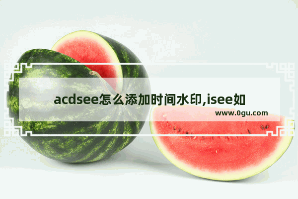 acdsee怎么添加时间水印,isee如何去除水印