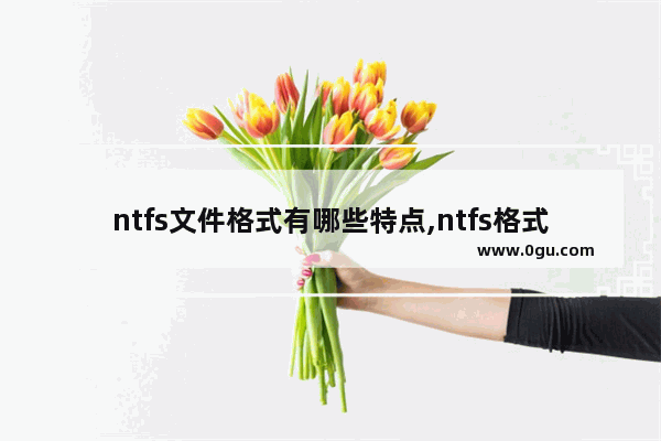 ntfs文件格式有哪些特点,ntfs格式有什么缺点