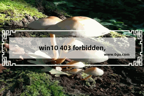 win10 403 forbidden,错误403.14 Forbidden