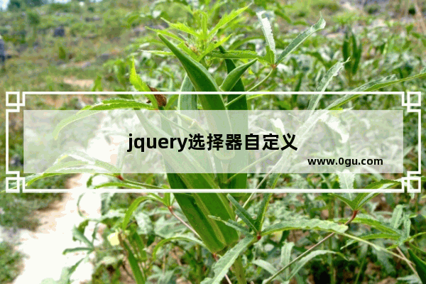 jquery选择器自定义