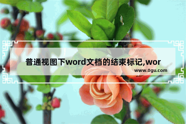 普通视图下word文档的结束标记,word文档作标记