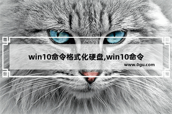 win10命令格式化硬盘,win10命令行格式化磁盘