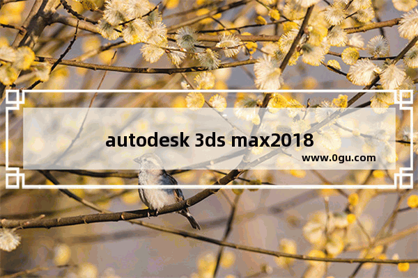 autodesk 3ds max2018激活,autodesk 3ds max 激活码