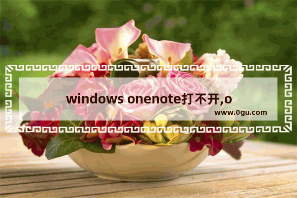 windows onenote打不开,onenote不能打开