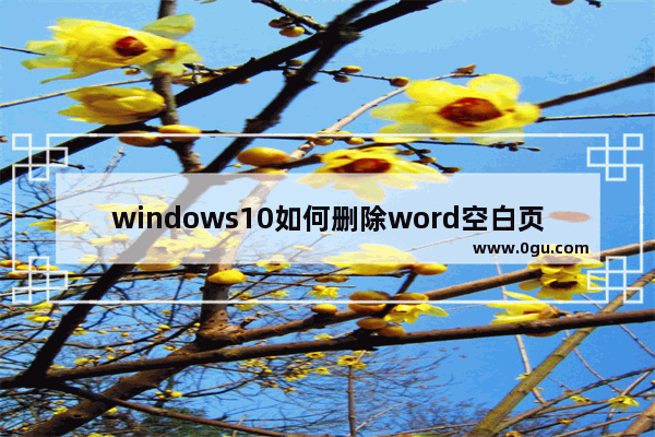 windows10如何删除word空白页,win10word文档怎么删除空白页