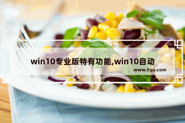 win10专业版特有功能,win10自动操作软件