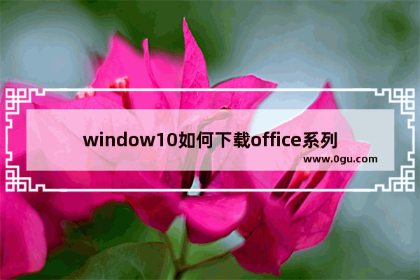 window10如何下载office系列软件,微软商店下载office