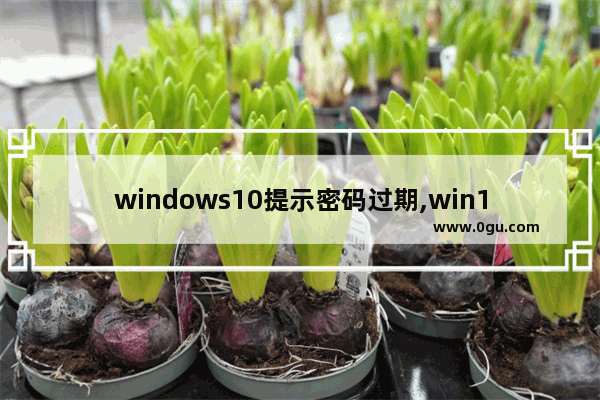 windows10提示密码过期,win10提示你的密码已过期必须更改