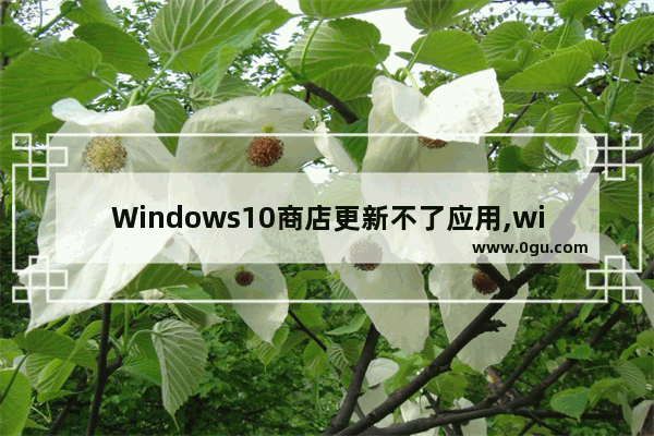 Windows10商店更新不了应用,win10应用商店要登录才能下载吗