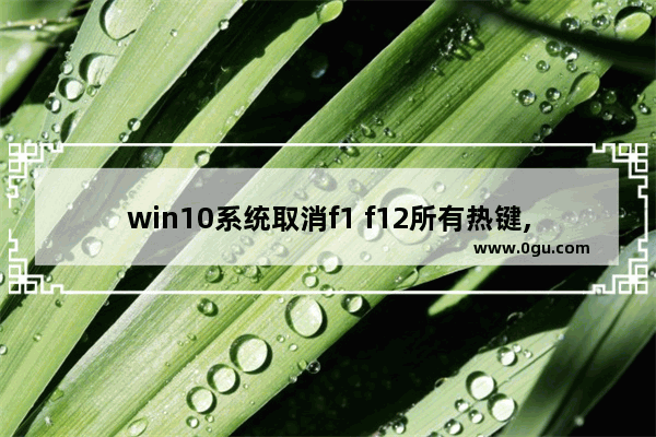 win10系统取消f1 f12所有热键,win10f1到f12热键取消