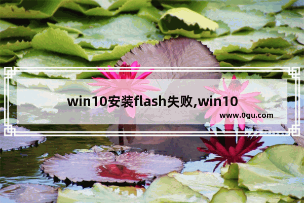 win10安装flash失败,win10系统不支持flash