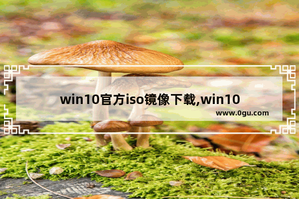 win10官方iso镜像下载,win10专业版iso镜像文件下载 2