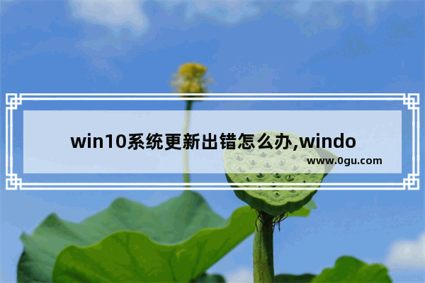 win10系统更新出错怎么办,windows10更新出现错误怎么办