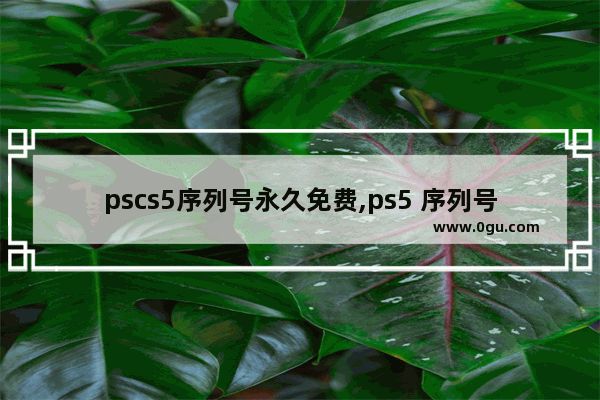 pscs5序列号永久免费,ps5 序列号