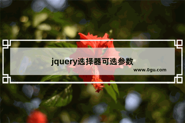 jquery选择器可选参数