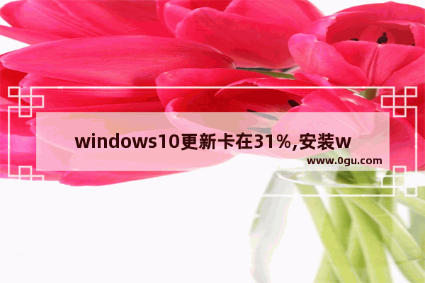 windows10更新卡在31%,安装win10更新卡在百分之27不动了