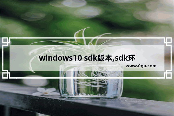 windows10 sdk版本,sdk环境变量配置win10