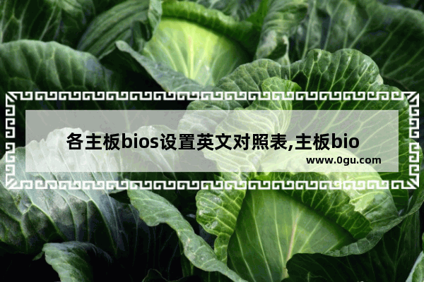 各主板bios设置英文对照表,主板bios中英文对照表