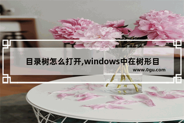 目录树怎么打开,windows中在树形目录结构下