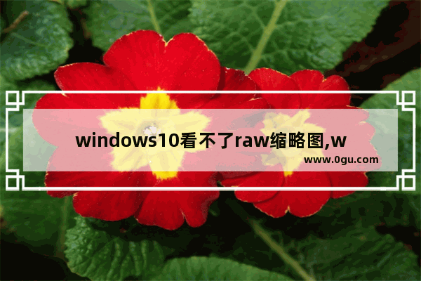 windows10看不了raw缩略图,win10无法显示缩略图预览