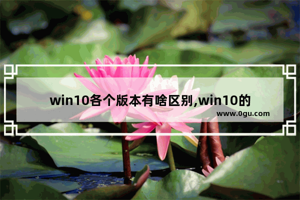 win10各个版本有啥区别,win10的各种版本区别