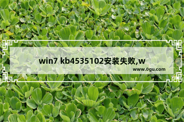 win7 kb4535102安装失败,win7系统kb4534310安装失败