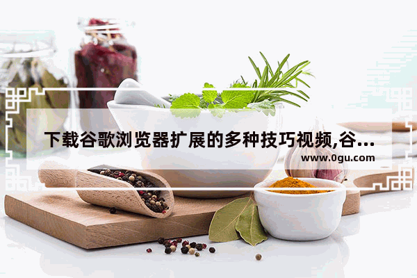 下载谷歌浏览器扩展的多种技巧视频,谷歌浏览器怎么下载扩展程序