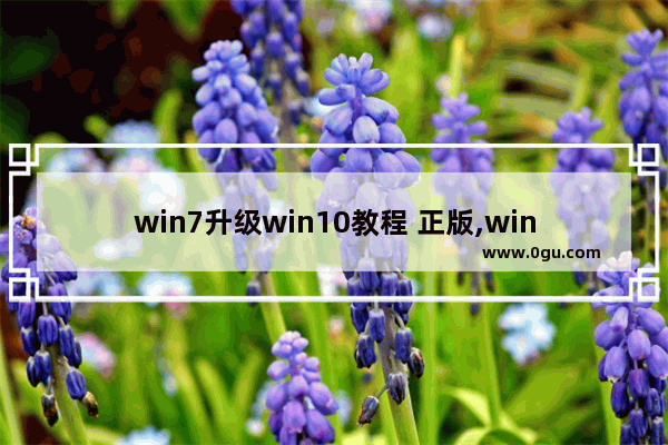 win7升级win10教程 正版,win7专业版ghost版