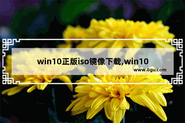 win10正版iso镜像下载,win10专业版iso镜像文件下载 1