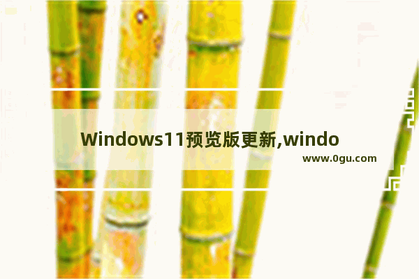 Windows11预览版更新,windows10最新预览版