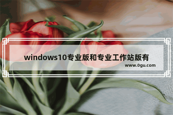 windows10专业版和专业工作站版有什么区别,win10专业版和专业工作站版有什么区别