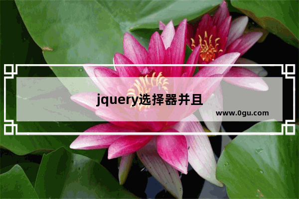 jquery选择器并且