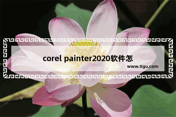 corel painter2020软件怎么换成中文,Corel Painter下载