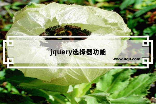 jquery选择器功能