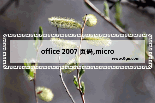 office 2007 页码,microsoft office word 2016