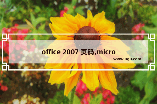 office 2007 页码,microsoft office word 2016