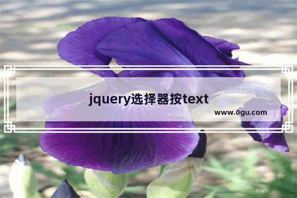 jquery选择器按text